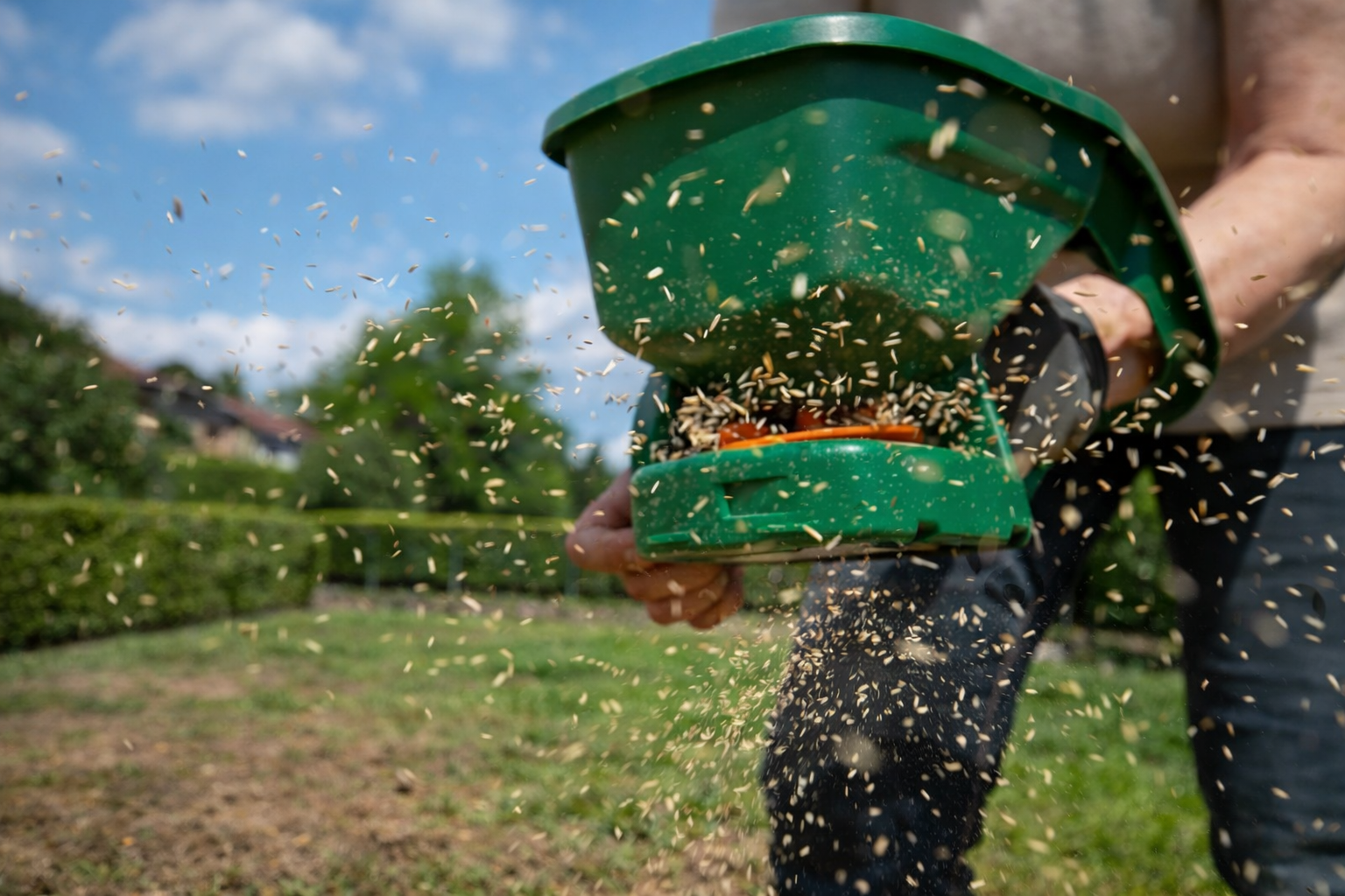 Засаждане на трева