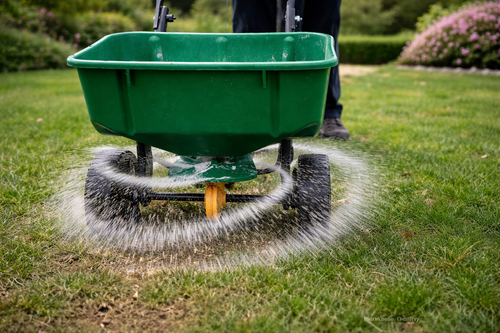 Засаждане на трева