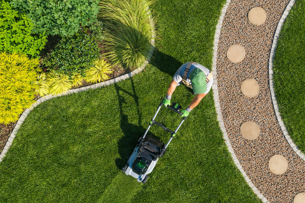 Професионална поддръжка на градини