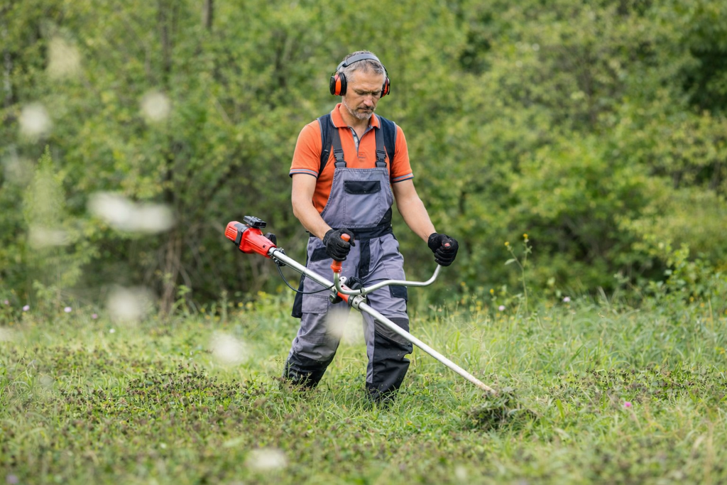 Професионална поддръжка на градини
