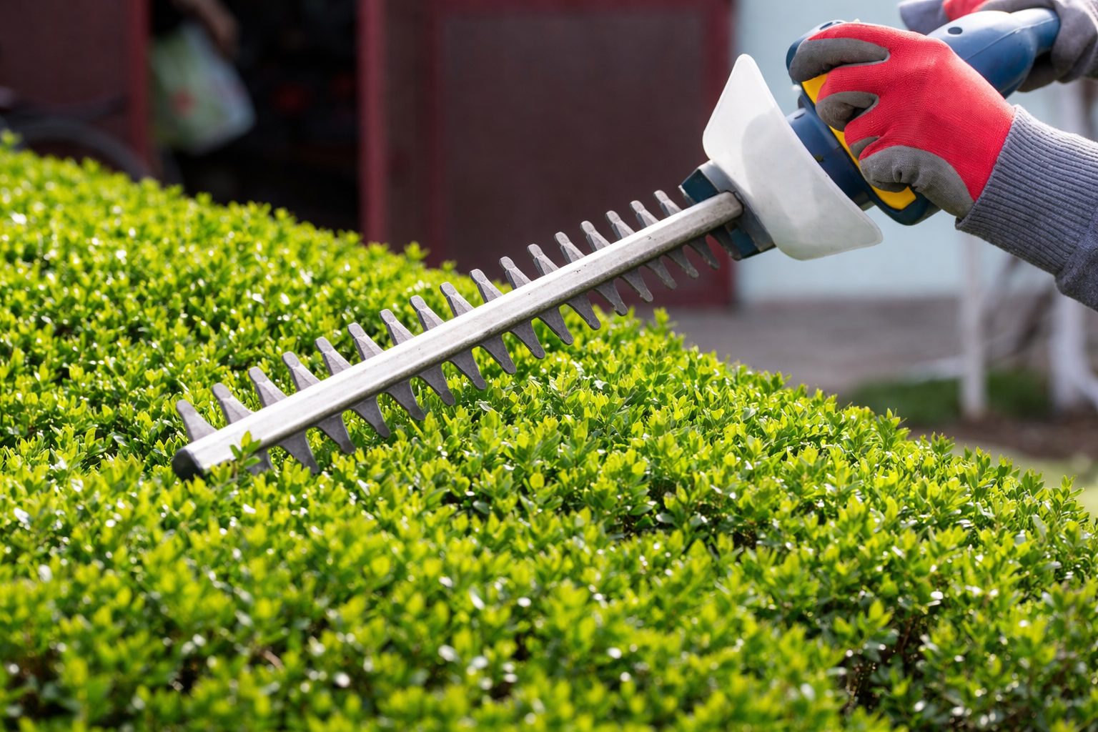 Професионална поддръжка на градини