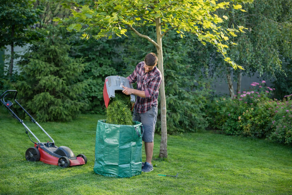Професионална поддръжка на градини