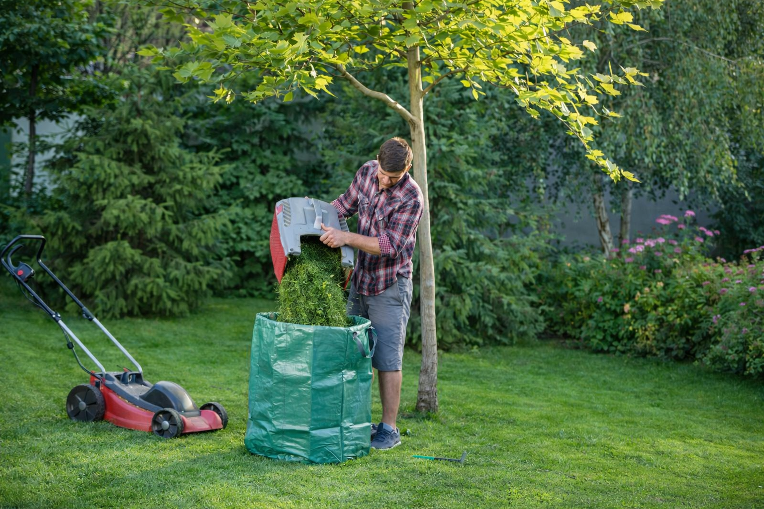 Професионална поддръжка на градини